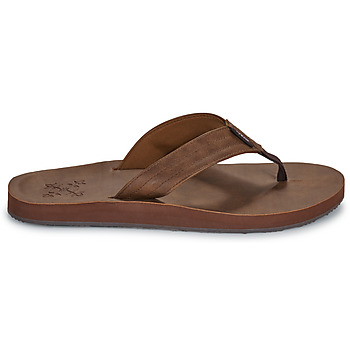 Oxbow S1RINCON