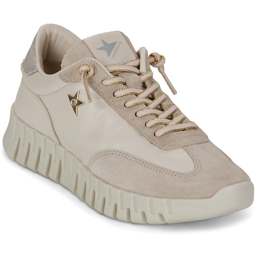 Skor Dam Sneakers Cetti C-1381-SRA-V26-ANTE-GORDON-DESSERT Beige