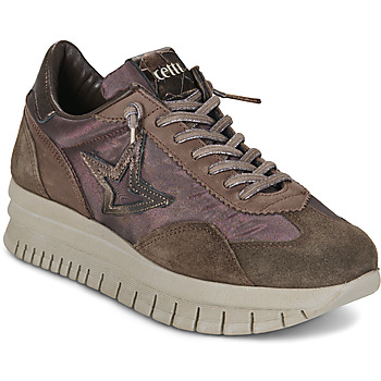Skor Dam Sneakers Cetti C1259 Brun