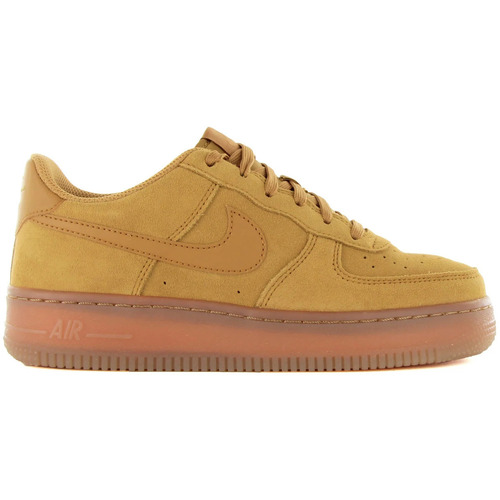 Sapatos Criança Sapatilhas Nike AIR FORCE 1 LV8 (GS) Castanho