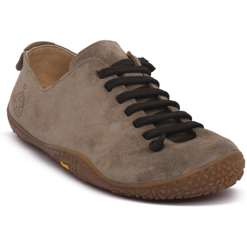 Pantofi Bărbați Sneakers Bioline ALMOND ASUKU VESUVIO Maro