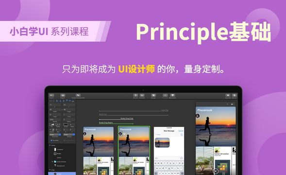 Principle-软件与基础界面介绍