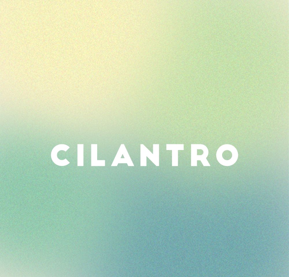 CILANTRO