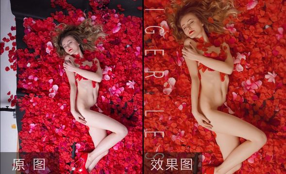 PS-美女模特红色花瓣后期教程