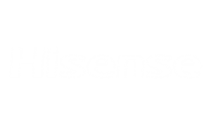 Hisense Logo