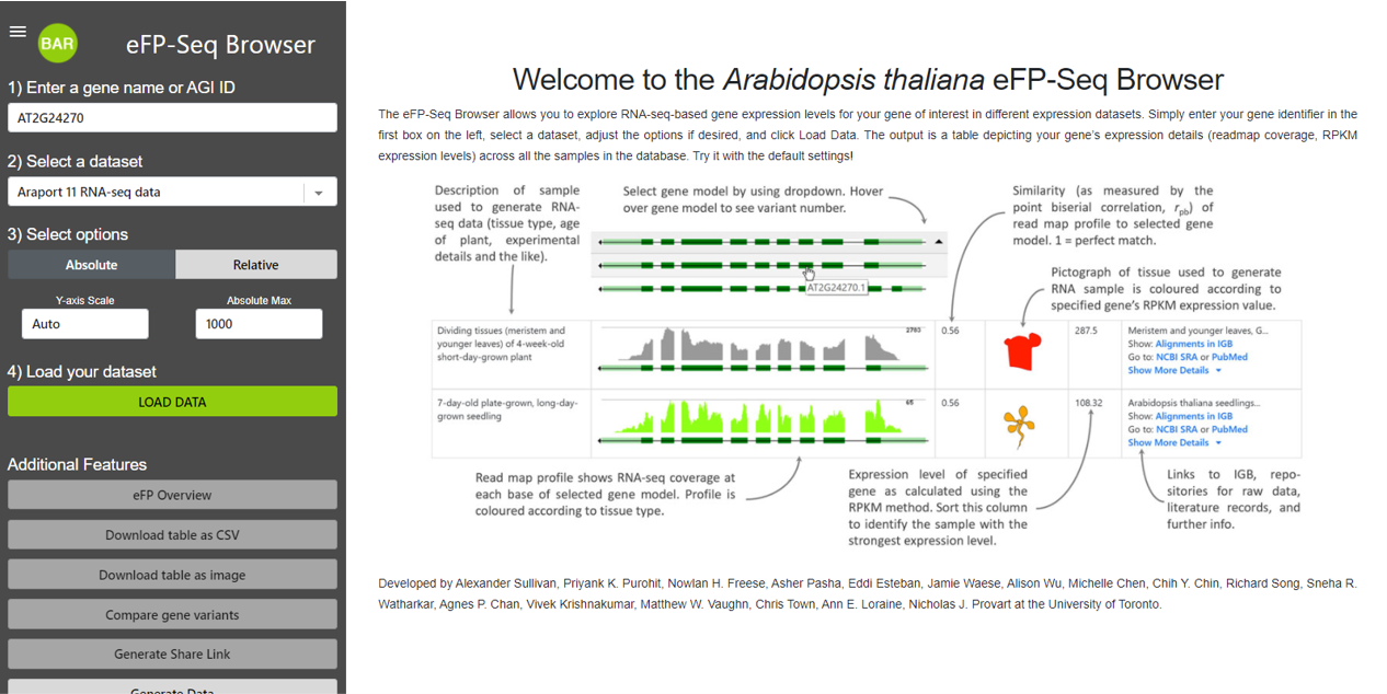 eFP-Seq_Browser