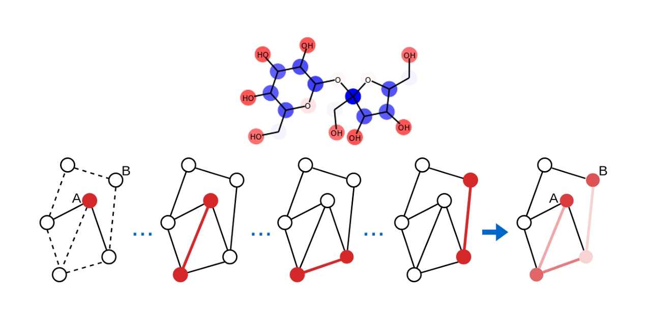 graph-network-explainability