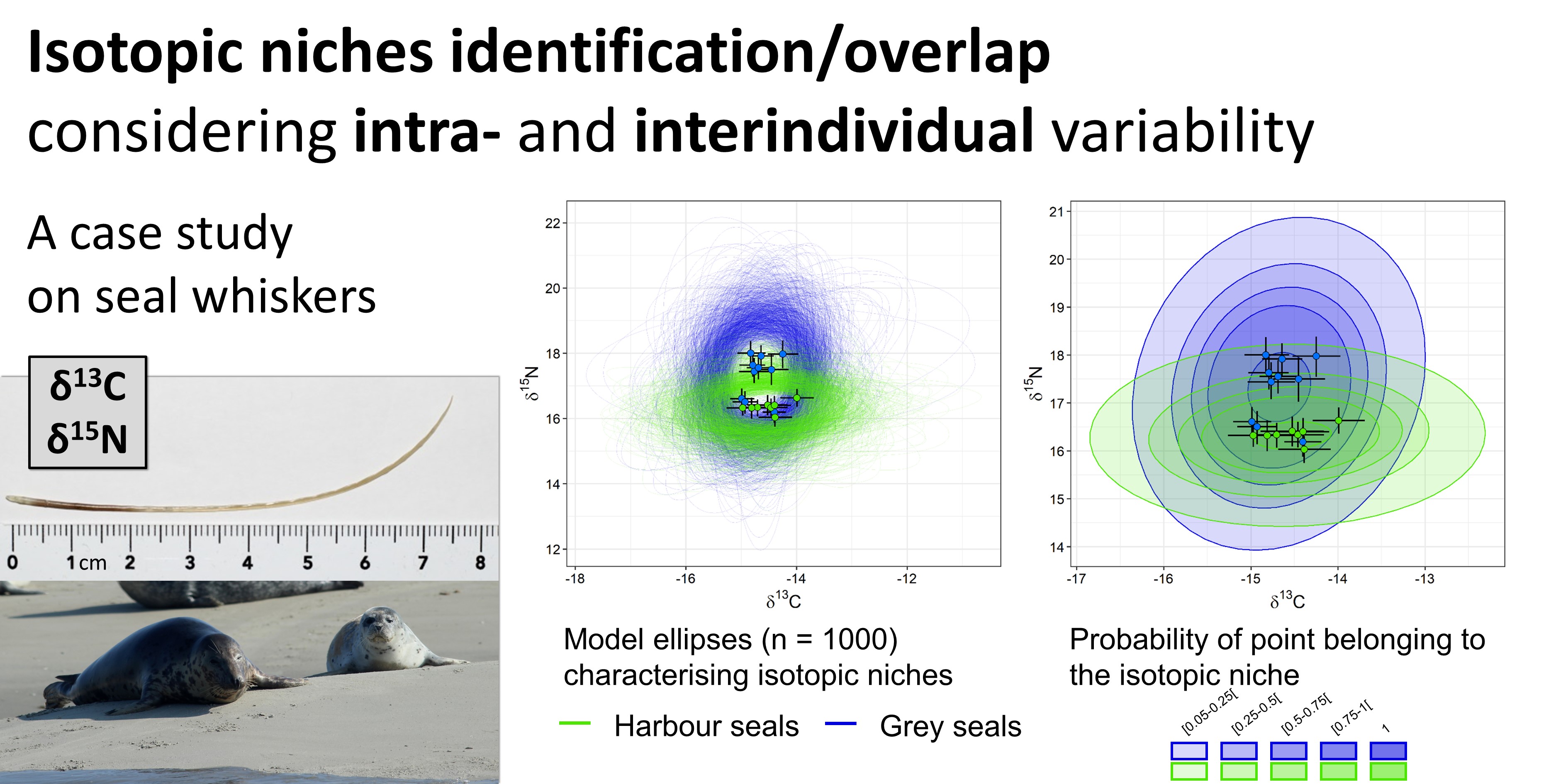 Isotopic_Niche_Overlap