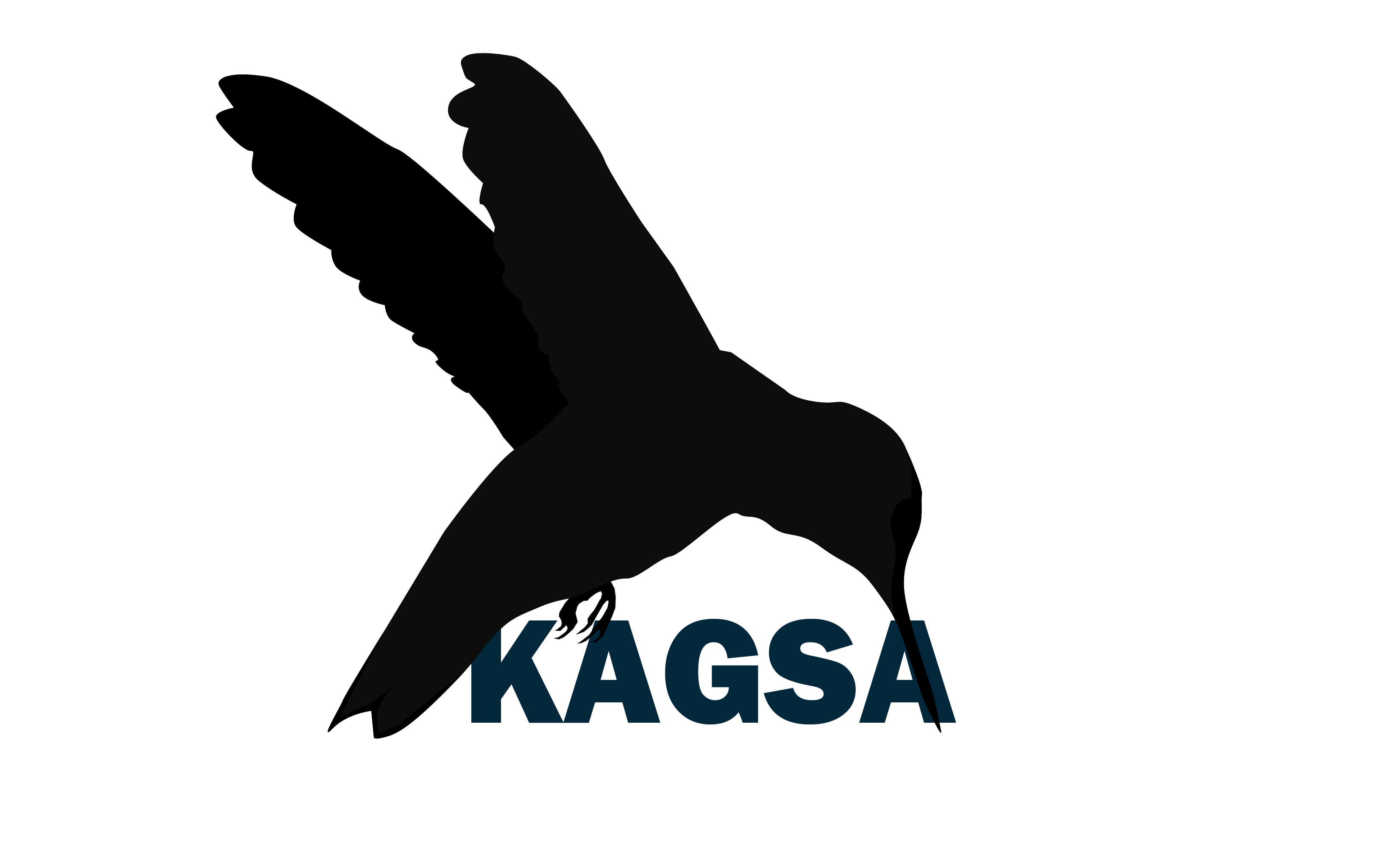 kagsa