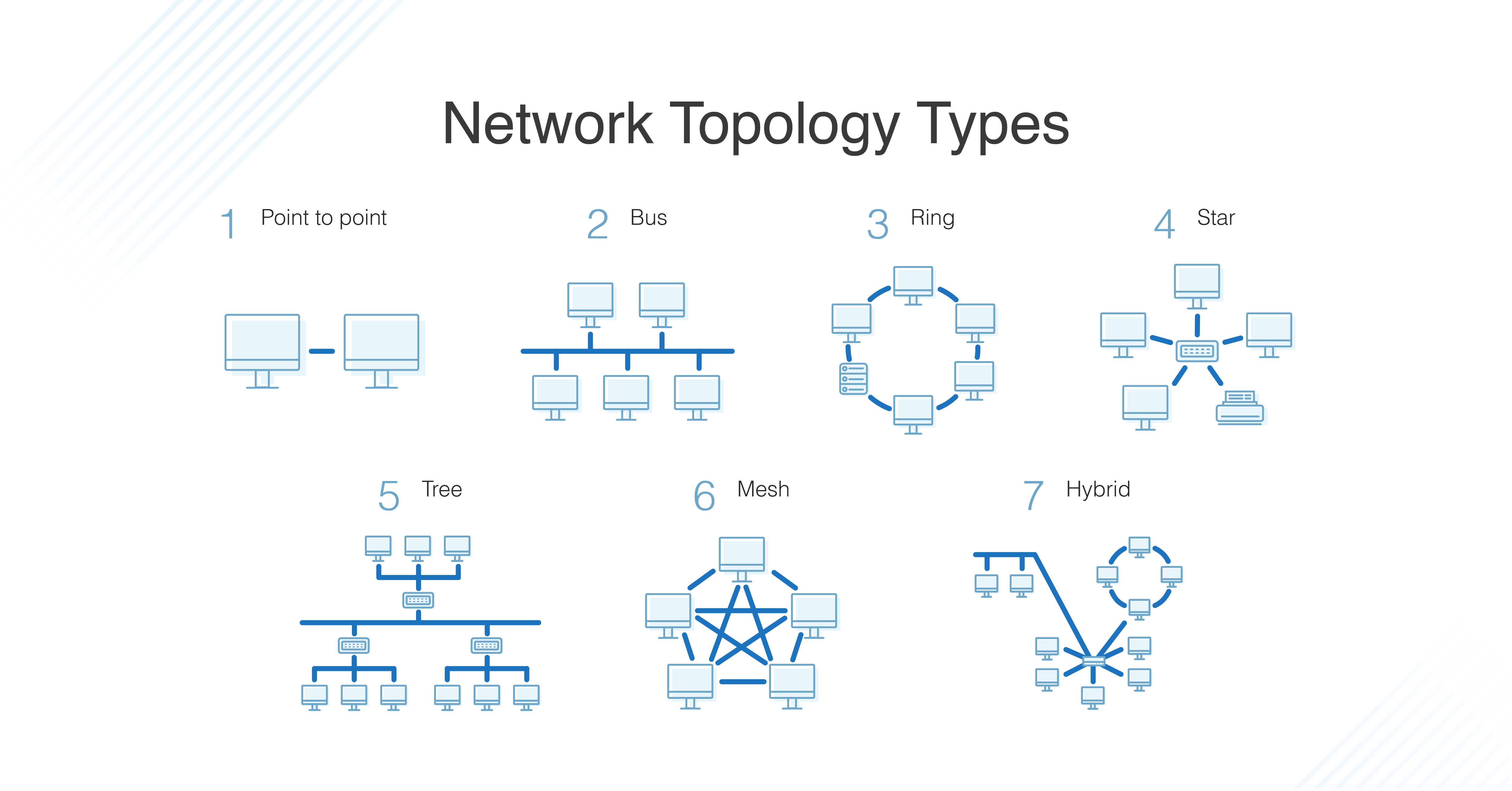 Network-model-comparison