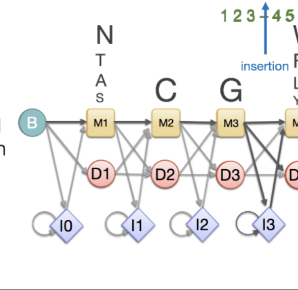 profile-HMM-protein-seq