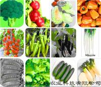 河北  石家庄 供应礼品套菜
