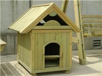 供应环保优质宠物屋