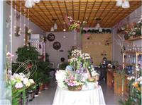 南宁市飞云路花店二十四小时配送