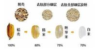 密山大型合作社粮食加工 专业水稻加工