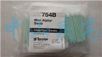 聚酯头棉签TEXWIPE棉签TX754B