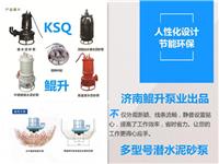 济南鲲升泵业有限公司
