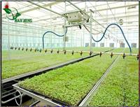在移动苗床上栽培辣椒提高产量