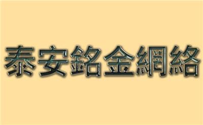 泰安网站设计网页制作