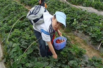 惠州海滨农家乐 公司团建 山水漂流 丛林CS  海滨单车