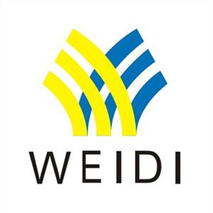 广西伟迪国际物流有限公司