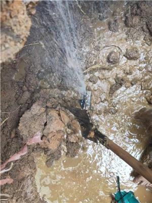 地下暗管漏水检测、株洲查漏水电话【和谐共赢】