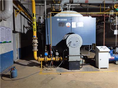 君乐宝10吨蒸汽蒸汽锅炉 低氮燃烧器安装现场