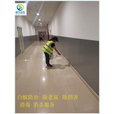 江门江海区有害生物防治电话 白蚁防治 江门市瑞可环境科技有限公司