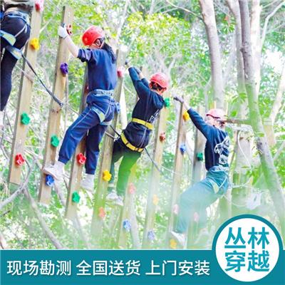 景区户外大型丛林穿越探险森林闯关攀爬滑索飞跃亲子游乐拓展设备