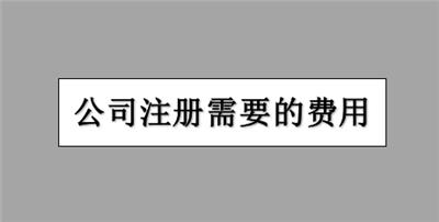 办理津南区公司执照申请需要多少费用？