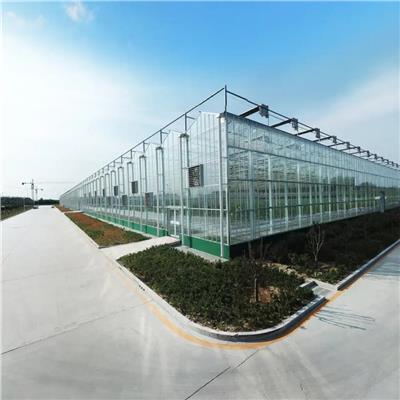 玻璃温室设计 透光率高 西藏玻璃温室建造