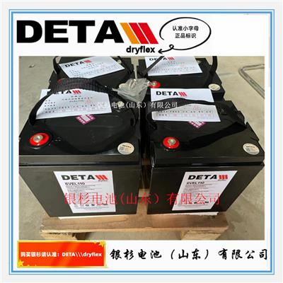 德国DETA银杉蓄电池6VEL110 6V-110Ah 通讯基站UPS直流屏用储能电池
