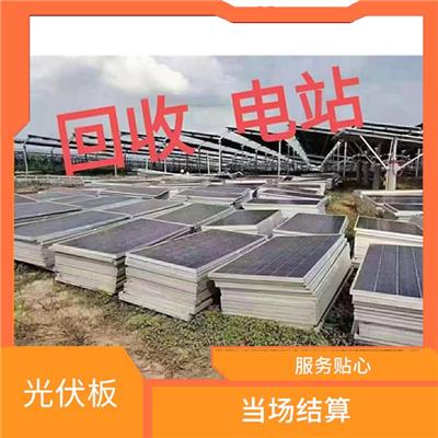 焦作太阳能光伏板回收 当场结算 看货报价