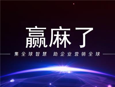 广州赢麻了科技发展有限责任公司