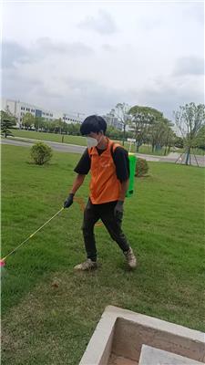 芙蓉区灭白蚁哪家强