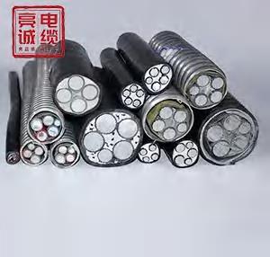 支招储能用电缆选购，靠谱的制造商推荐及价格参考