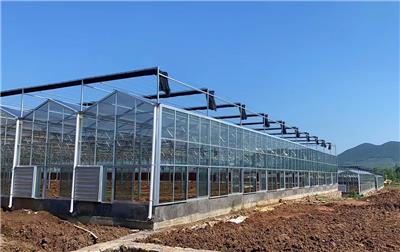 2026年靠谱的玻璃温室厂家推荐，新型玻璃温室选购指南