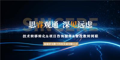 江苏外包型企业服务营销获客 诚信服务 盐城睿见数字科技发展供应