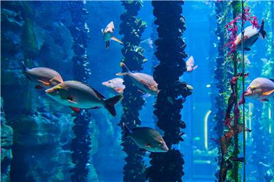 2026年有研学机构体验的旅游度假区推荐，靠谱之选如何选择