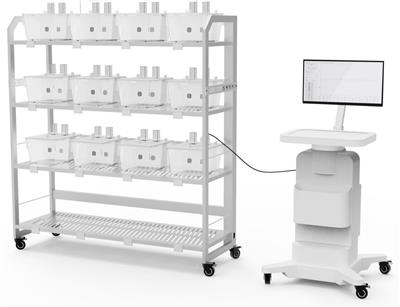 BHVCC小鼠糖水偏好实验系统 大鼠糖水偏好实验系统 大小鼠糖水偏爱实验系统