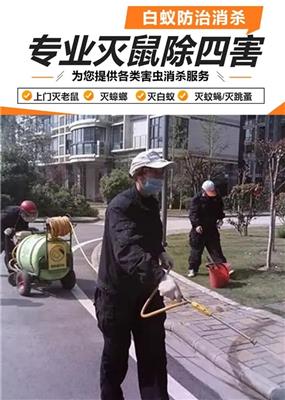 支招白蚁防治站如何选择，有实力的品牌推荐，费用如何？