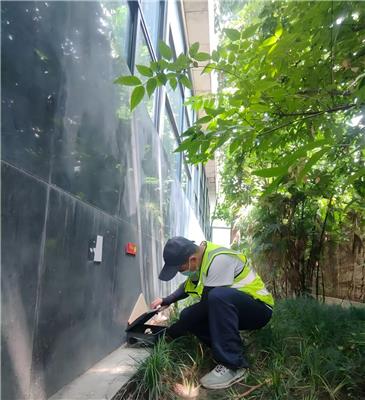 雅安灭鼠专业服务