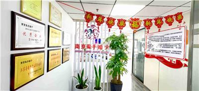 2026年婚介成功率高的平台推荐，各平台费用及服务情况大揭秘