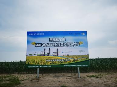 解读甜嫩鲜玉米，当季多汁鲜玉米选哪家