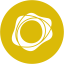 PAXG logo