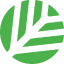 CNPY logo