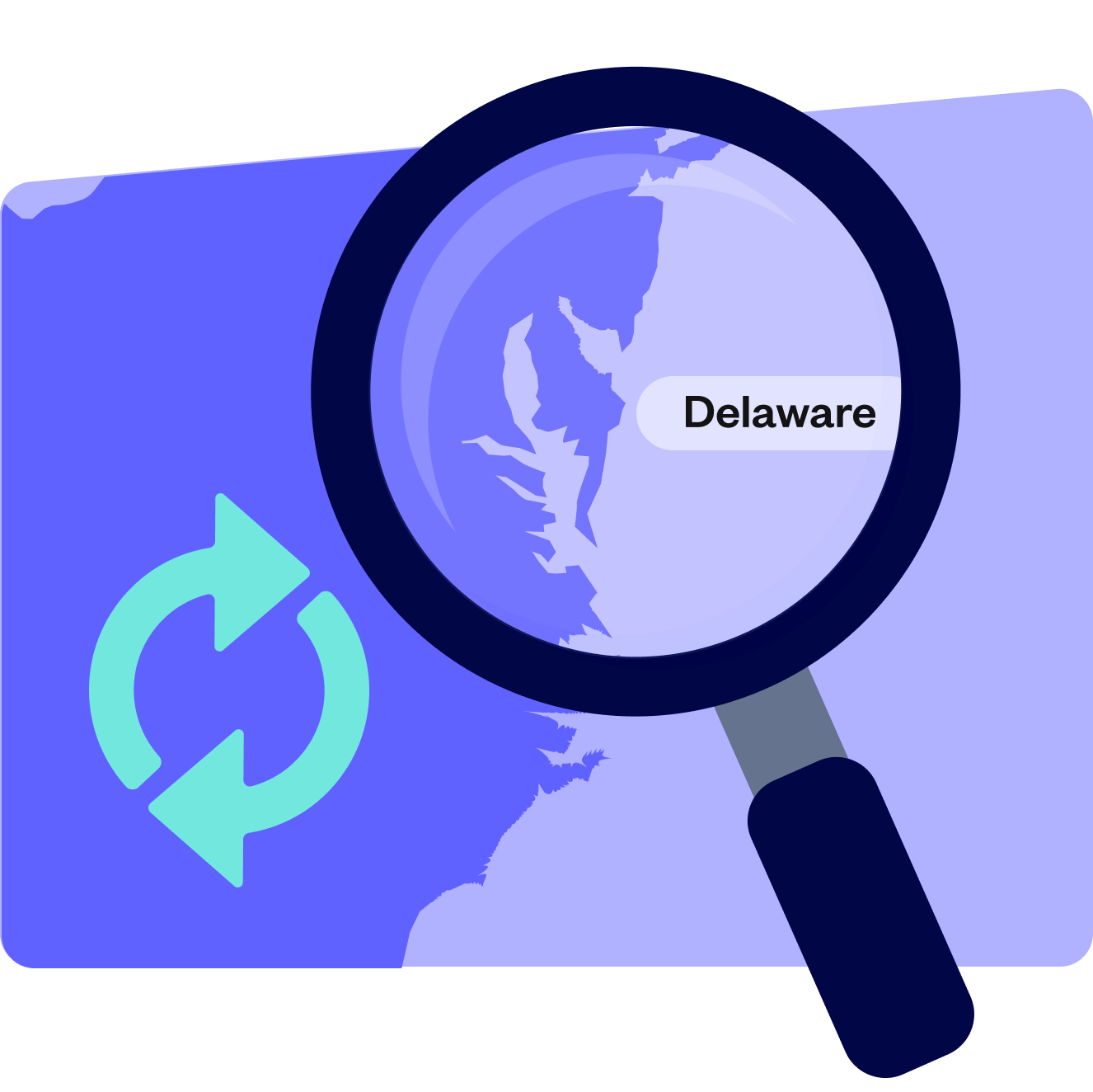 Delaware Flip