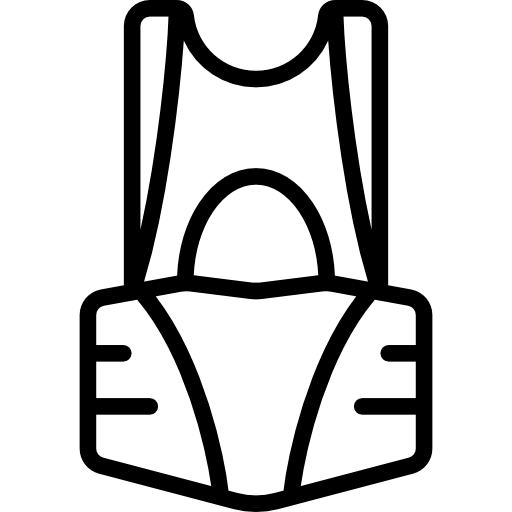 Ryggbeskyttere