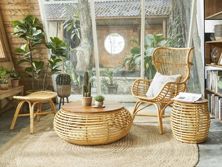 Modern Rattan and Wicker: A Guide to Contemporary Styles