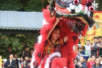 Lioness dance: breaking tradition with grace